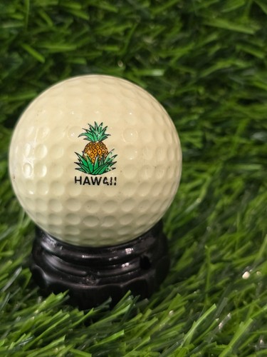 *You Pick* Golf Course Logo Balls and More - Picture 22 of 81