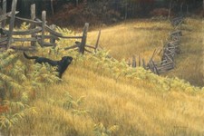 Robert BATEMAN Smallwood Limited Edition art Giclee Canvas Black Labrador dog