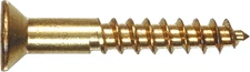 Brass Flat Head Phillips Wood Screws 10x2.5 Inch 25 Pack Durable Fasteners