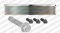 SNR Riemenscheibe, Kurbelwelle DPF359.33K1 FüR BMW CitroËN DS Mini Opel