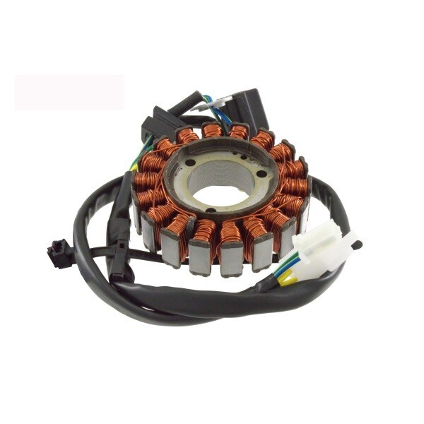 Anlassermagnet Kymco Xciting 250 2005-image