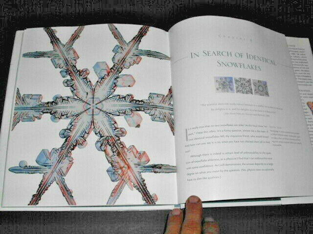 THE SNOWFLAKE : Winter's Secret Beauty | eBay