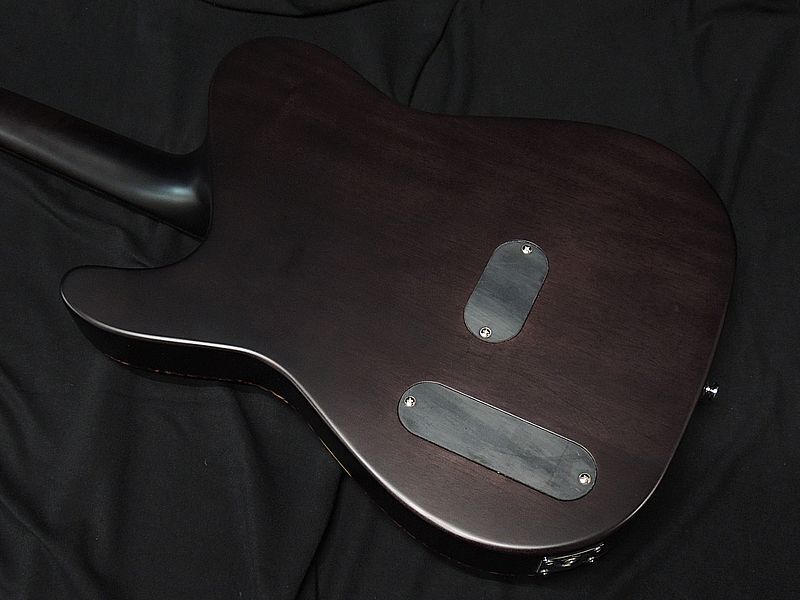 Schecter OlFlP Sstb Thin Body Acoustic Guitar F Hole Eco Telecaster