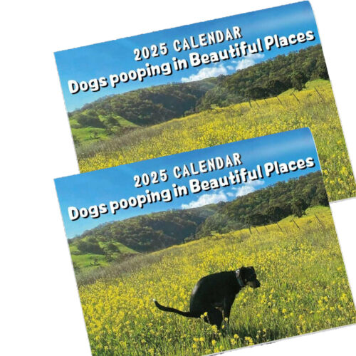 2025 Calendar - 11x8.5 inches Funny Dogs Pooping in Beautiful Places Wall Calend - Picture 4 of 17