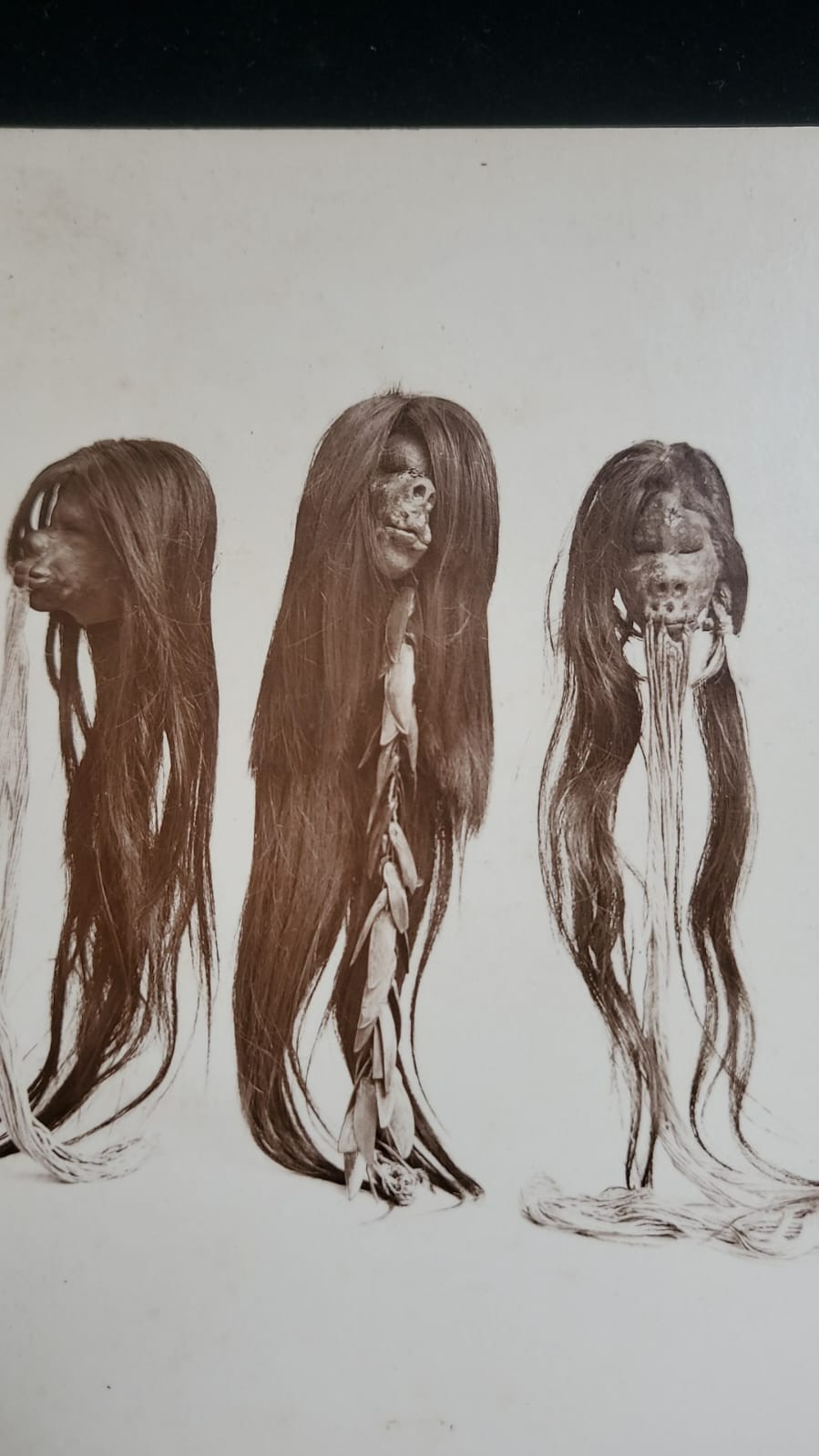 Ecuador Jibaros Jivaros cabezas reducidas