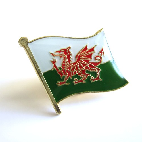 200+ PATRIOTIC COUNTRY National Country Flag Lapel Pin Badge Brooches Metal with - Picture 217 of 261