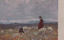 PERUGIA: a beneficio comit. pro Turbercolosi -pitt. Cesare Maggi "il pastore"