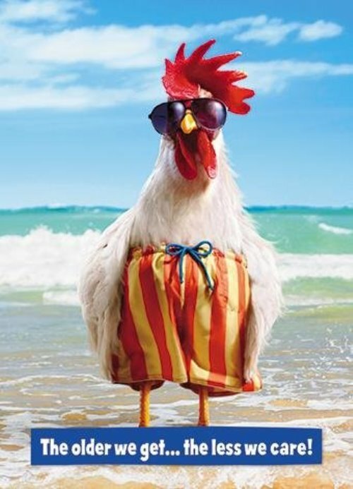 Avanti The Older We Get Birthday Greeting Card Humour Cards