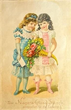 Antique Victorian Era Trade Card Advertising Ephemera Niagara Gloss Starch 
