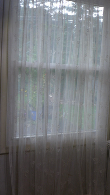Bild 2 von 12