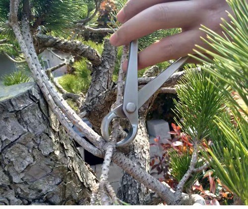 180mm Long Handle x 15mm Wide Cut Bonsai Garden Scissor Pruning Shear Trimmer - Picture 7 of 8