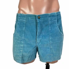 Vintage Ocean Pacific Aqua Blue Corduroy Shorts Sz 36 Surf Dogtown 70s/80s