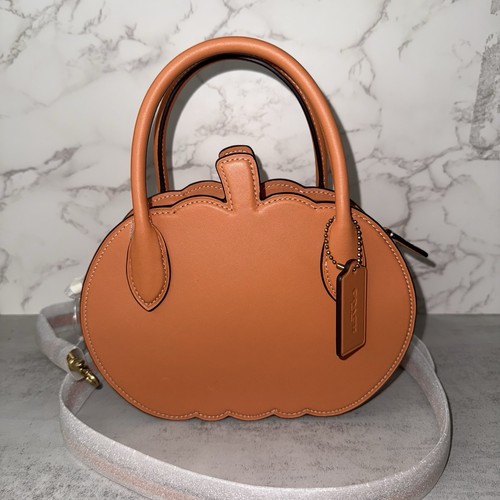 Coach Pumpkin Runway CU868 Orange Leather Fall Autumn Halloween Purse NWT -HTF - Picture 2 of 11