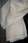 Foto 217 di 254