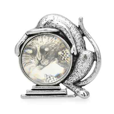 Vintage Catching Fish Cat Brooches For Women Unisex Cute Pets Animal Brooch Gift