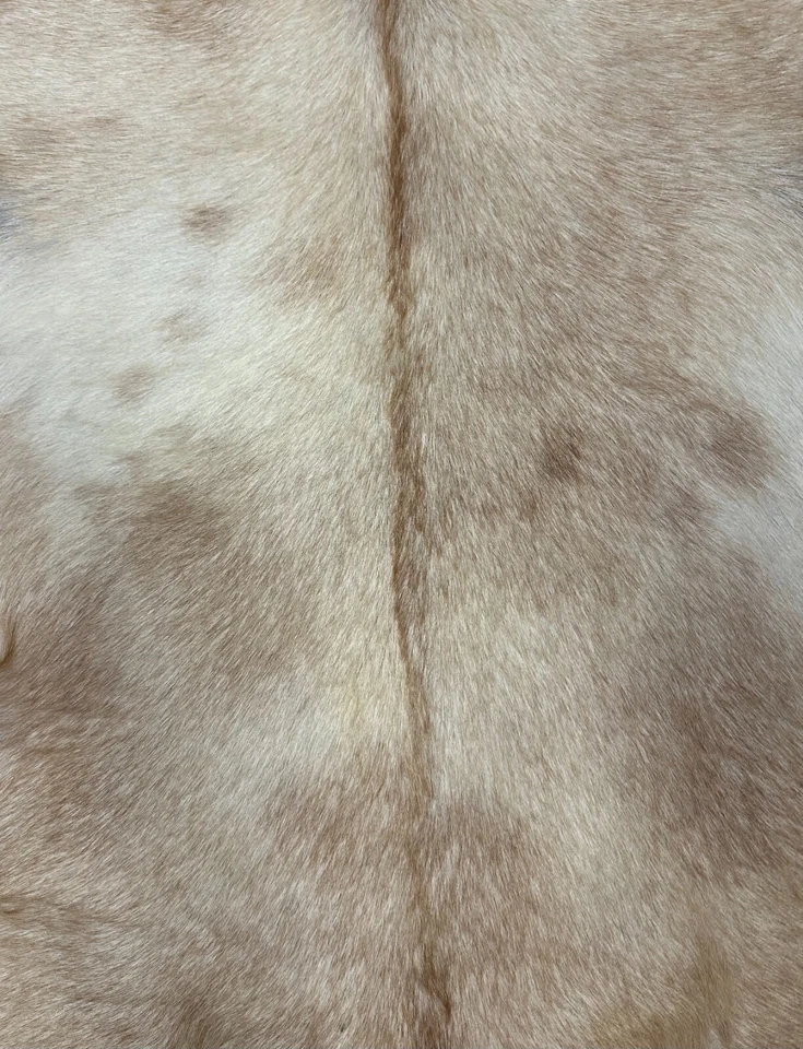 Alfombra de piel de cabra talla 3,6 X 2,9 Foto 3 de 3