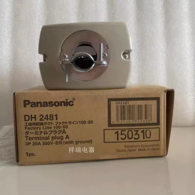 1pcs New Panasonic DH2481 | eBay