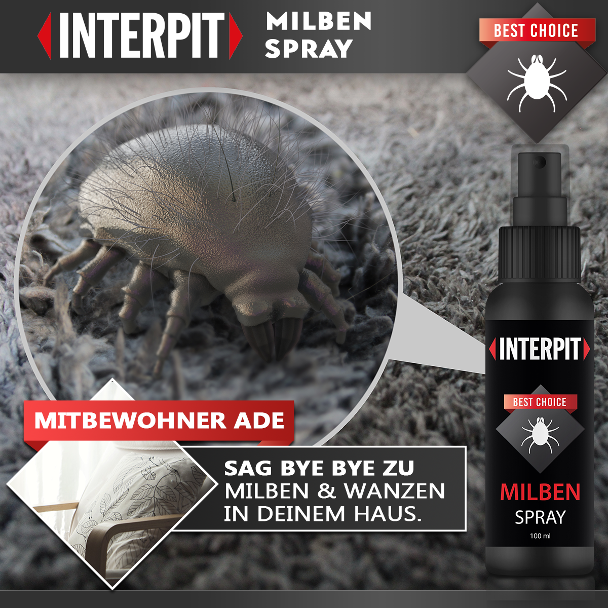 Bild 7 von 7