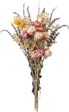 27 PCS Dried Flowers Bouquet Set with Lavender Daisies Baby'S Breath Eucalypt...