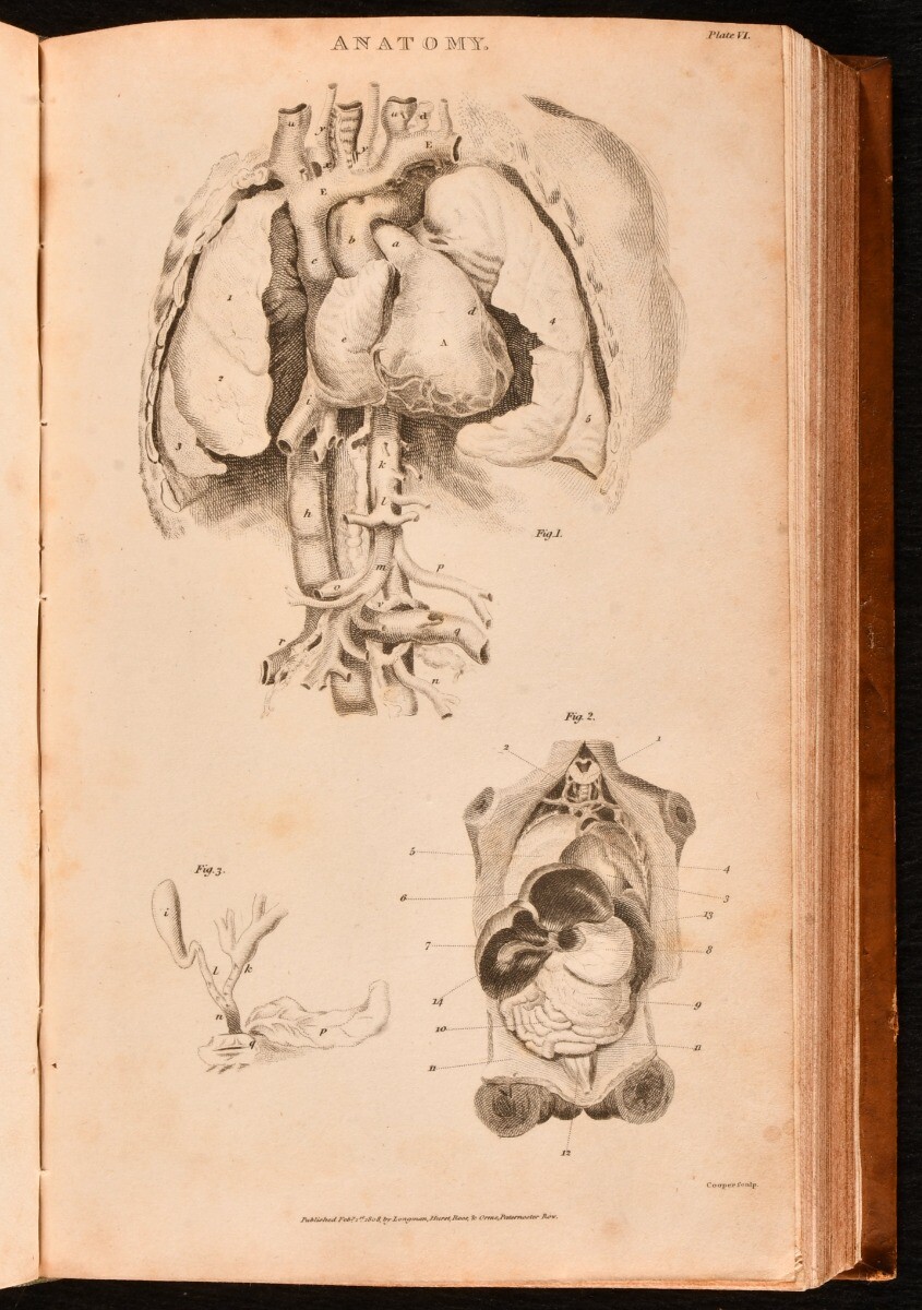1809 6Vol The British Encyclopedia or Dictionary of Arts and 1809 6Vol The British Encyclopedia or Dictionary of Arts and