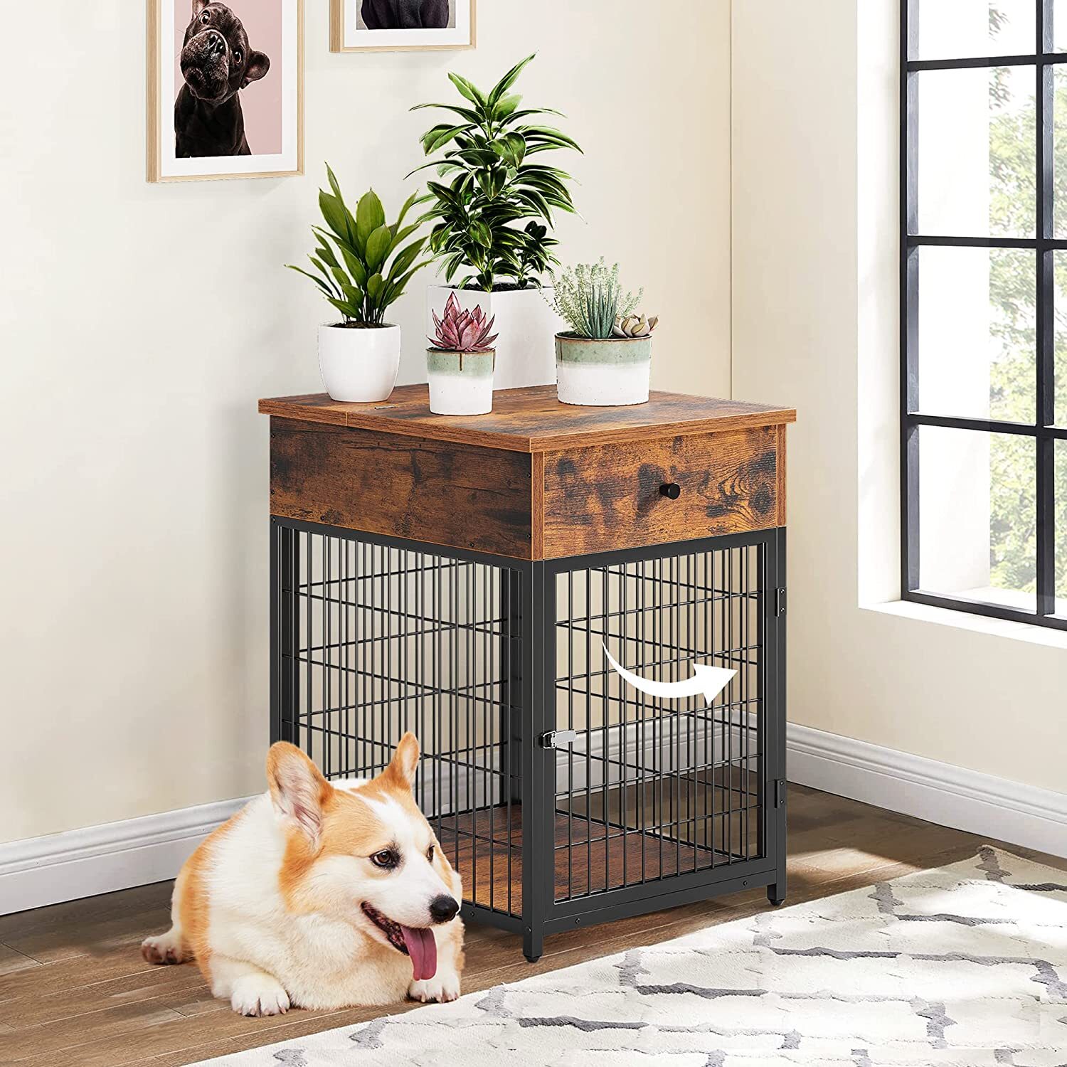 coffee table for dogs