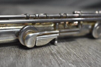 Miyazawa PCM-300 Flute Hard Case | eBay