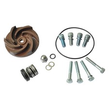 DAYTON 21TG39 Pump Repair Kit,For 2ZWP3A,2ZWP4A 21TG39