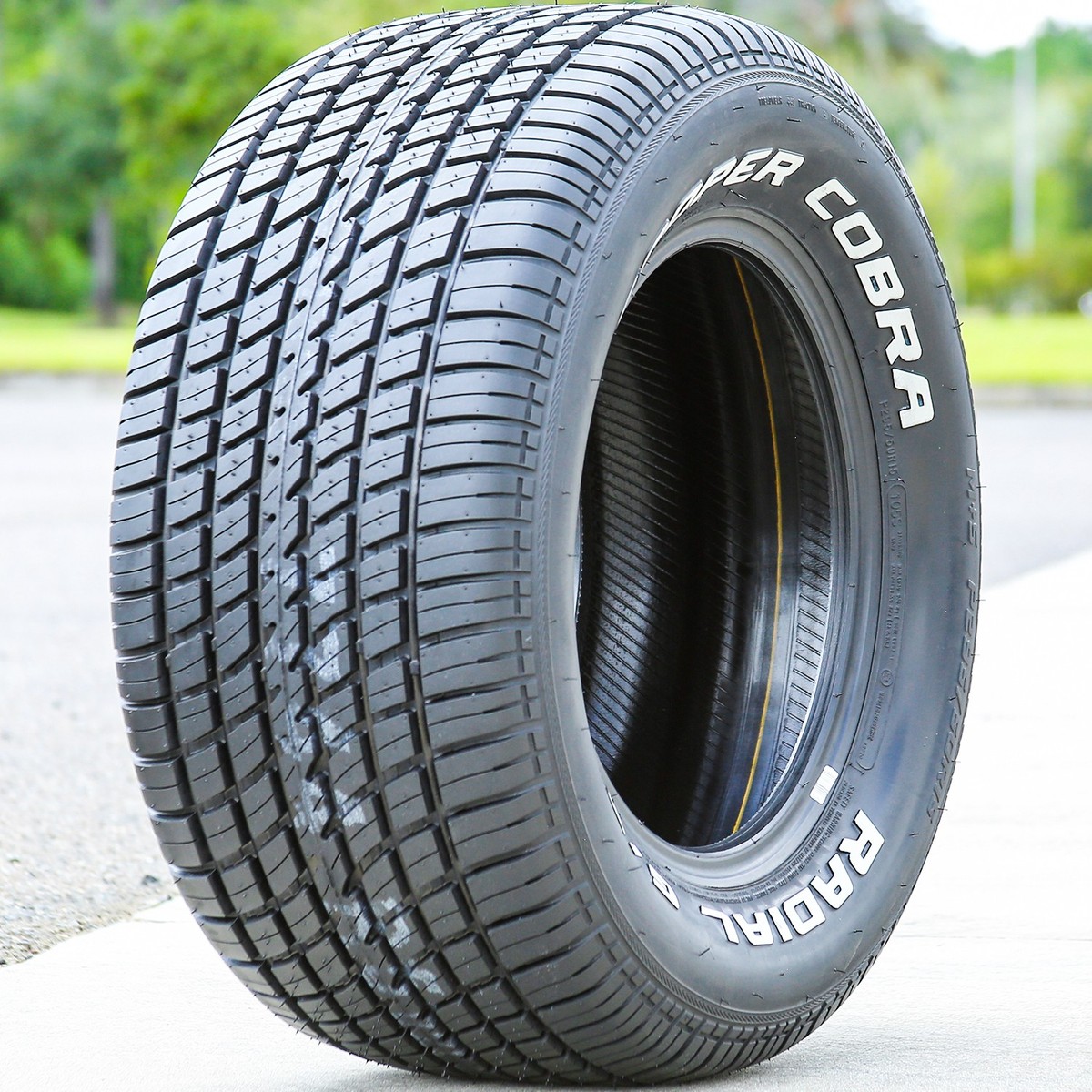Cooper Cobra Radial G/T 295/50R15 105S A/S All Season Tire | SL 