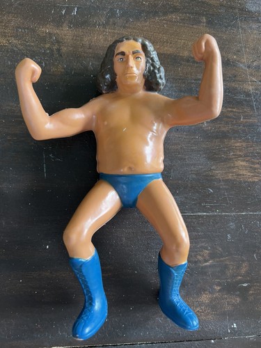 1984 Titan Sports Action Figure Wrestling Supersta...