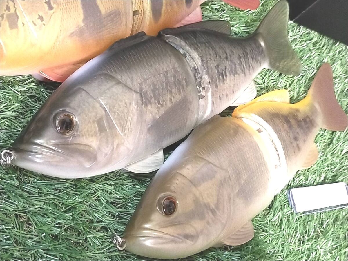 Deps CODE NAME BASS Depsweb Members Limited Please choose a Deps CODE NAME BASS Depsweb Members Limited Please choose a