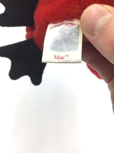 TY Beanie Baby - MAC the Cardinal ALL FOUR ERRORS - Excellent! - Afbeelding 8 van 12