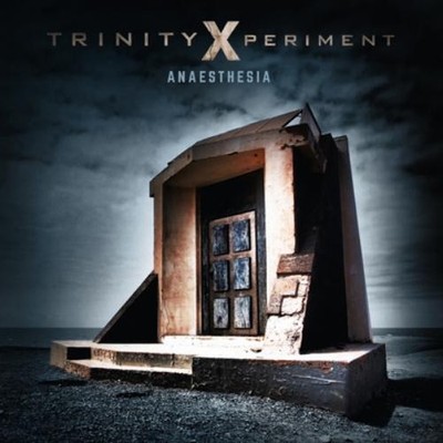 Trinity Xperiment Anaesthesia (Vinyl) 12'' Album