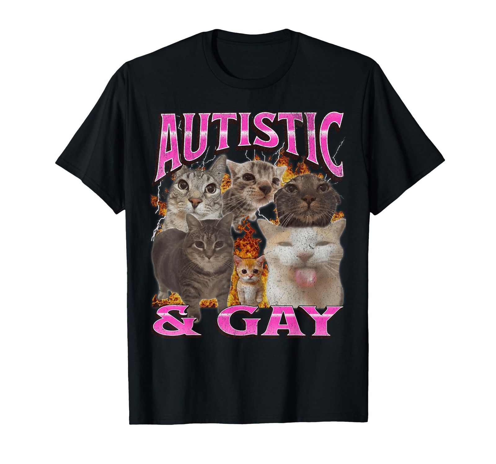There is Motion at Your Front Door Funny Cat Motion Meme T-Shirt (1)