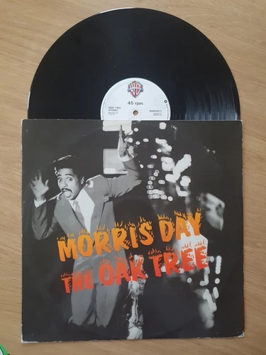 MORRIS DAY The Oak Tree - A1/B1 Original - 1985 - 12" 4 track Single - PRINCE
