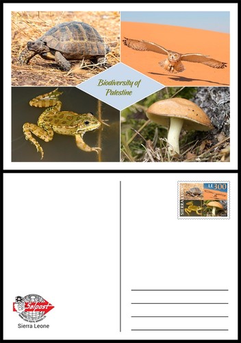 SIERRA LEONE 2025 PALESTINE FULL PACK MS1V MS8V SS1V & IMPERF & FDC CARD BKLT - Picture 9 of 14