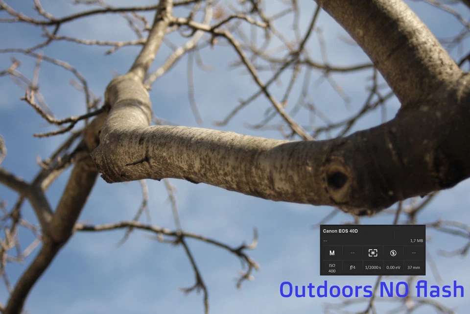 Canon EOS 40D, foto 1 de 5