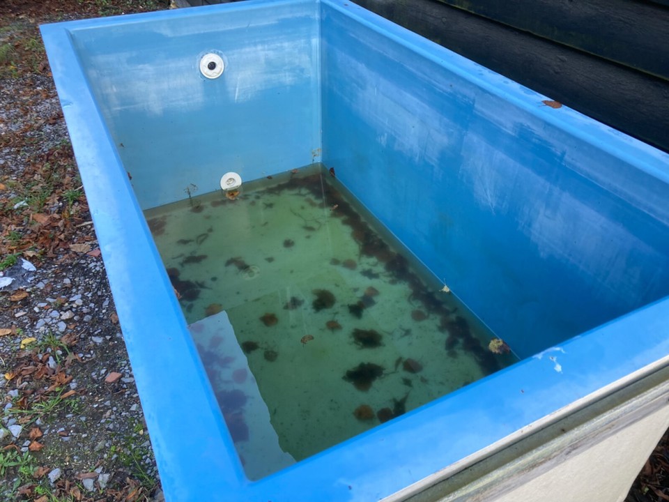 ABOVE GROUND Plunge Swimming Pool Fish Pond Fibreglass eBay