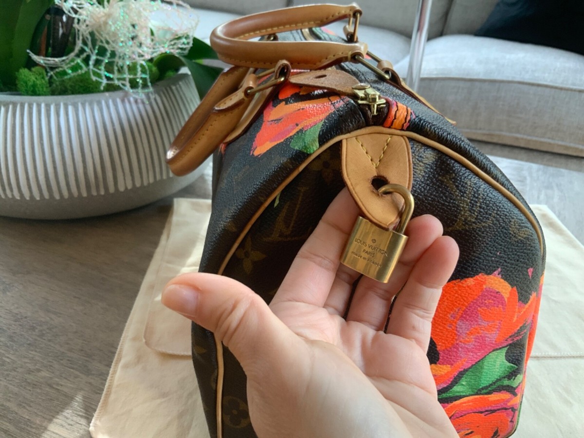 Louis Vuitton Stephen Sprouse Speedy Handbag