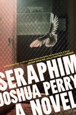 Seraphim, Paperback by Perry, Joshua, Like New Used, Free shipping in the US