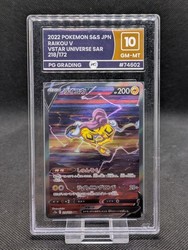 Raikou V 218/172 Special Art Rare VSTAR Universe Japanese