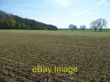 Photo 6x4 Field near East Hoe Manor Hambledon  c2009