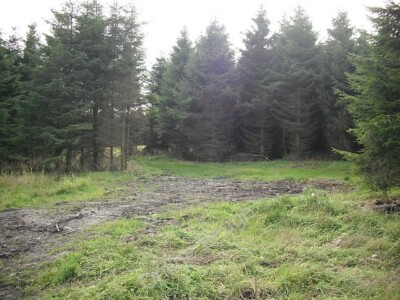 Foto 6x4 Wald, Baad's Mill Woolfords Cottages viel von der schlechten Qualität c2009