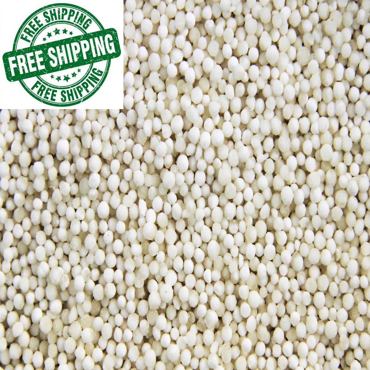 Seed Rutile 真鍋吉明 model the pillows Sago Seed by Sago Rutile Burgundy Mist 真鍋吉明