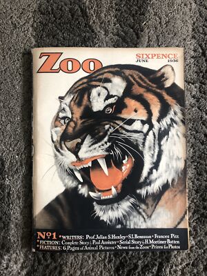 Zoo Magazine June 1936 No 1 Tiger Koala Mok Moina Jubilee Chimpanzee London  Zoo