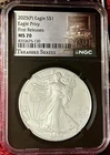 2025 Silver Eagle Privy MS70 Early Release NGC Label Black Core Treasure Series