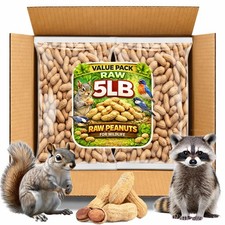 Office Roast Raw Peanuts in Shell  5 LB Bulk Value Pack 80 Fl Oz Pack of 1 