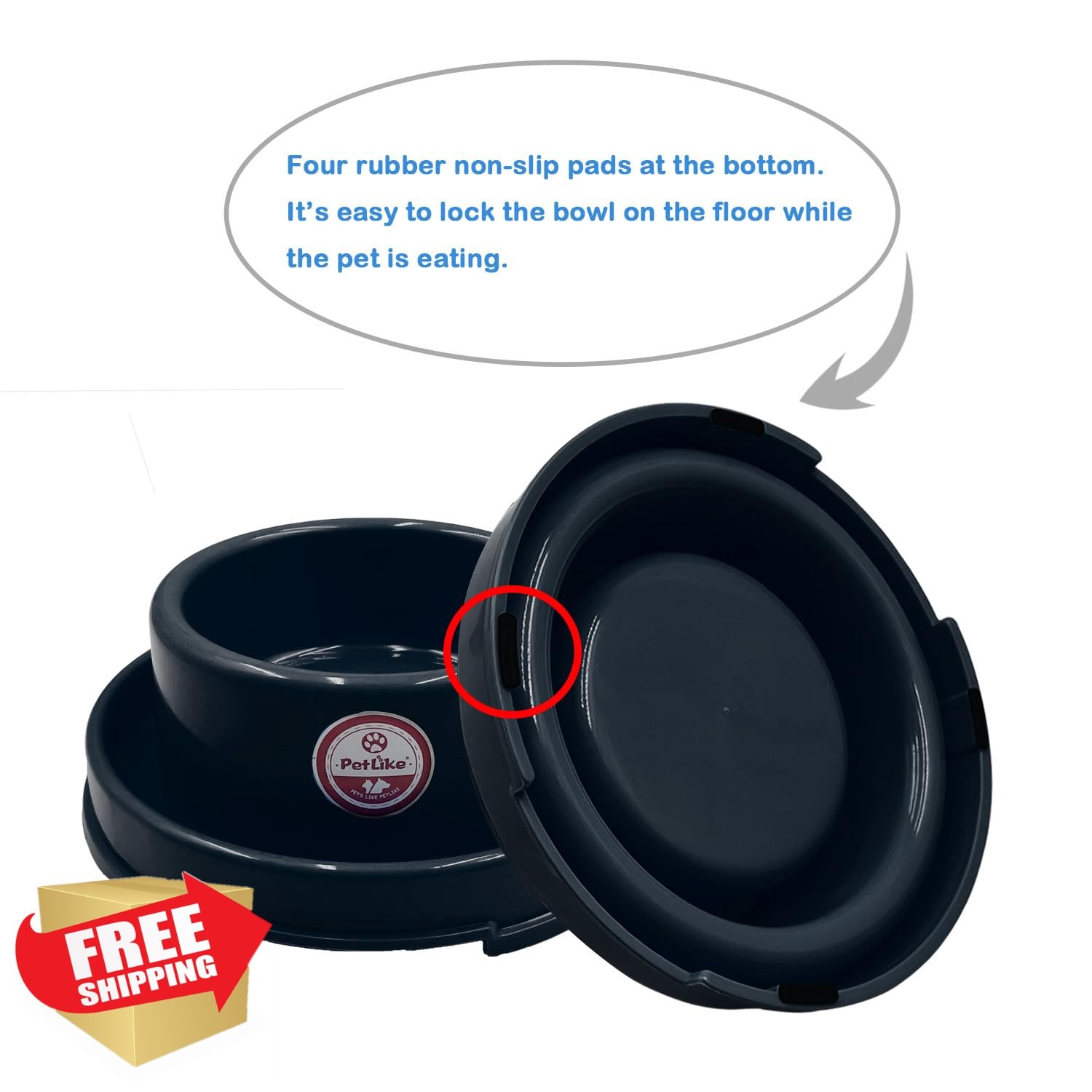 Water Bowl Small Medium Dogs