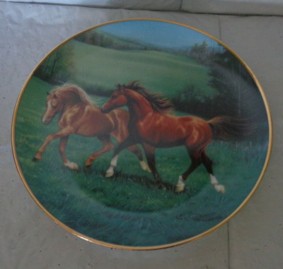 Franklin Mint - ''Wild and Free'' - Collectible Horse Plate - British Society