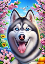 Siberian Husky Grey/White Blue Eyes Springtime II Flag