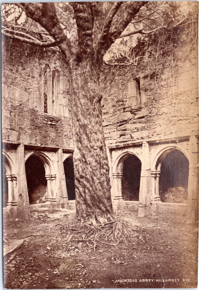Vintage W.L. photo of Muckross Abbey in Killarney, England and Ireland  